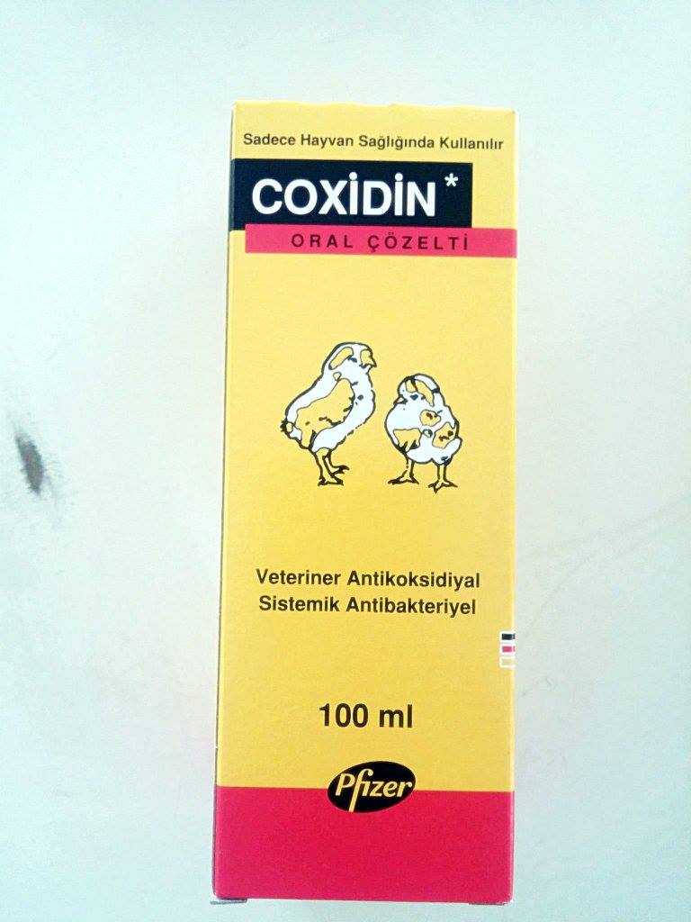 coxidin